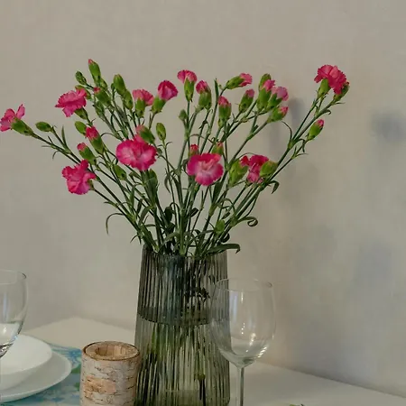 Miamar In With Furnished Terrace And Parking By Renters روغوفو